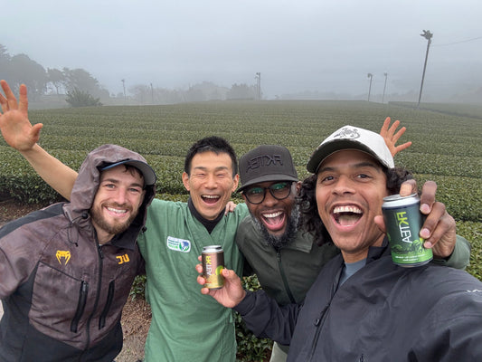 Why Japanese Green Tea?